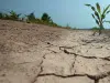 Más de 3.000 millones de personas sufren los impactos de la degradación ambiental