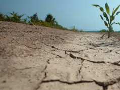 Más de 3.000 millones de personas sufren los impactos de la degradación ambiental