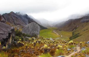 Minambiente revoca declaratoria de reserva en Santurbán dejada por el gobierno Petro: dice que hubo irregularidades