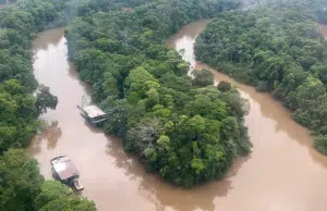 Minería ilegal no da tregua en el Parque Nacional Natural Río Puré: identifican 41 balsas activas que podrían extraer hasta 120 kilos de oro al mes