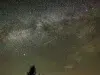 Lluvia de estrellas de las Perseidas: cuándo podrá verse en Colombia y cuáles son los mejores lugares para observarla