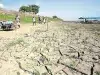 Colombia se prepara para semanas más secas y calientes: estas son las regiones con mayor riesgo de incendios