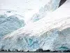 Científicos buscaban un barco perdido en la Antártida, pero encontraron algo inesperado bajo un enorme iceberg y quedaron sorprendidos