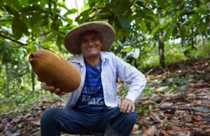 Copoazú, el bioingrediente amazónico usado en el cuidado de la piel que ofrece hidratación de hasta 72 horas