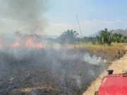 En Colombia se han registrado 438 incendios forestales en 191 municipios: autoridades reportan que las conflagraciones podrían continuar