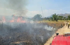 En Colombia se han registrado 438 incendios forestales en 191 municipios: autoridades reportan que las conflagraciones podrían continuar