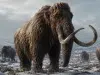 Estudio revela que los humanos de la Edad de Hielo preferían cazar principalmente hembras de mamut lanudo