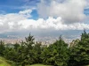 Feria de las Flores impulsará la llegada de turistas internacionales a Medellín: estas son las actividades más buscadas