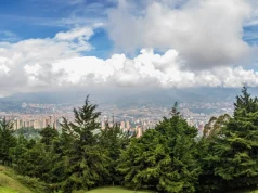 Feria de las Flores impulsará la llegada de turistas internacionales a Medellín: estas son las actividades más buscadas