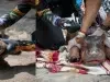 Murió la cría de hipopótamo rescatada en Antioquia: tenía menos de 15 días de nacida y sufrió lesiones pulmonares