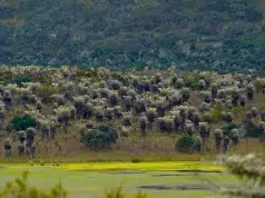 Minambiente expide resolución que ordena la delimitación participativa del complejo de páramos Cruz Verde–Sumapaz