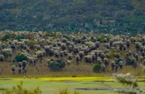 Minambiente expide resolución que ordena la delimitación participativa del complejo de páramos Cruz Verde–Sumapaz