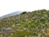Minambiente delimita el páramo Cruz Verde–Sumapaz: estas son las nuevas reglas que regirán sobre sus 314.706 hectáreas
