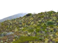 Minambiente delimita el páramo Cruz Verde–Sumapaz: estas son las nuevas reglas que regirán sobre sus 314.706 hectáreas