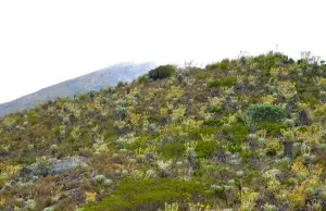 Minambiente delimita el páramo Cruz Verde–Sumapaz: estas son las nuevas reglas que regirán sobre sus 314.706 hectáreas