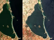 Una mancha blanca en el Mar Menor alerta a los científicos: ya desaparecieron siete kilómetros de vegetación submarina