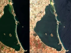Una mancha blanca en el Mar Menor alerta a los científicos: ya desaparecieron siete kilómetros de vegetación submarina