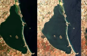 Una mancha blanca en el Mar Menor alerta a los científicos: ya desaparecieron siete kilómetros de vegetación submarina