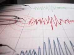 ¿Qué hacer durante un sismo o terremoto en un edificio? Los pasos clave para protegerse y evitar errores según el Idiger