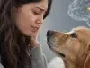 ¿Su perro entiende cómo se siente? Escáneres cerebrales revelan cómo su mascota puede distinguir emociones en rostros humanos