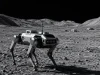 China prepara perros robot para conquistar la Luna: así ayudarán a construir su gran base espacial en 2035
