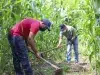 Latinoamérica llega a la COP17 sobre desertificación entre sequías, El Niño y presión por producir alimentos