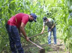 Latinoamérica llega a la COP17 sobre desertificación entre sequías, El Niño y presión por producir alimentos
