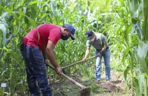 Latinoamérica llega a la COP17 sobre desertificación entre sequías, El Niño y presión por producir alimentos