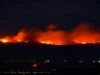 Hay cinco departamentos con incendios forestales; Tolima es el más afectado, este es el último balance de la UNGRD