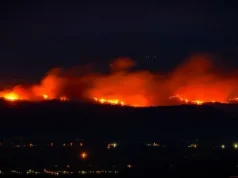 Hay cinco departamentos con incendios forestales; Tolima es el más afectado, este es el último balance de la UNGRD