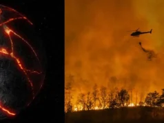 El cambio climático podría generar una ‘extinción masiva de la Tierra’ si no se tienen precauciones antes del 2050, según científicos