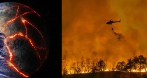 El cambio climático podría generar una ‘extinción masiva de la Tierra’ si no se tienen precauciones antes del 2050, según científicos