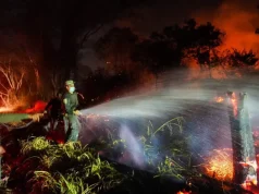 Experto advierte que los incendios en Colombia serían una antesala de un fenómeno que podría aumentar el riesgo de nuevas conflagraciones