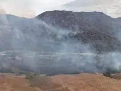 Presidente Abelardo De la Espriella no descarta posibles manos criminales en incendios del Tolima y emite balance
