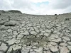 El momento decisivo del planeta en la lucha contra la desertificación