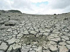 El momento decisivo del planeta en la lucha contra la desertificación