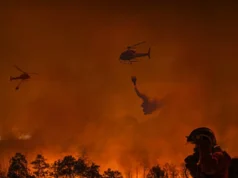 ¿Cómo ser un viajero responsable?: Estas son algunas claves para prevenir los incendios forestales en Colombia