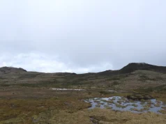 Las turberas, el humedal con ‘superpoderes’ que casi nadie conoce y que puede ser clave frente al fenómeno de El Niño
