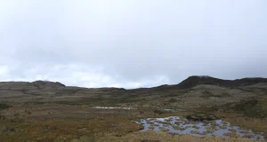 Las turberas, el humedal con ‘superpoderes’ que casi nadie conoce y que puede ser clave frente al fenómeno de El Niño