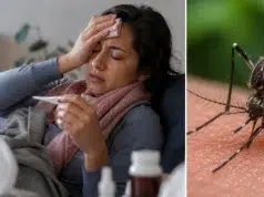 ‘Sentí que me iba a morir por el dolor’: así vivió una mujer 15 días con dengue y fiebre de 40 °C