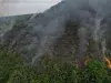 Cuando se apaga el incendio, empieza otra emergencia: expertos advierten el impacto que tiene el fuego en el suelo y en los ecosistemas colombianos