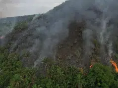 Cuando se apaga el incendio, empieza otra emergencia: expertos advierten el impacto que tiene el fuego en el suelo y en los ecosistemas colombianos