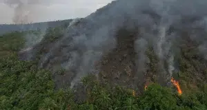 Cuando se apaga el incendio, empieza otra emergencia: expertos advierten el impacto que tiene el fuego en el suelo y en los ecosistemas colombianos