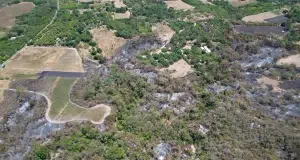 El Niño apenas empieza a mostrar su fuerza: estas serían las zonas más golpeadas por la sequía y los incendios en Colombia