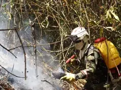 Humo de incendios forestales amenaza la salud respiratoria de los habitantes del Tolima: experto da recomendaciones ante riesgos por calidad del aire