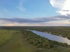 ¿Pueden los bosques convertirse en un activo para financiar la conservación de la naturaleza? Proyectos en Vichada y Antioquia buscan probar que sí