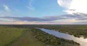 ¿Pueden los bosques convertirse en un activo para financiar la conservación de la naturaleza? Proyectos en Vichada y Antioquia buscan probar que sí