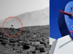 No es broma: el Curiosity de la Nasa fotografió una extraña ‘medusa’ en Marte y la ciencia no sabe qué tipo de ser es