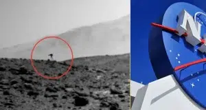 No es broma: el Curiosity de la Nasa fotografió una extraña ‘medusa’ en Marte y la ciencia no sabe qué tipo de ser es