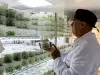 Hallazgo científico podría explicar la “secadera” en las hortensias
